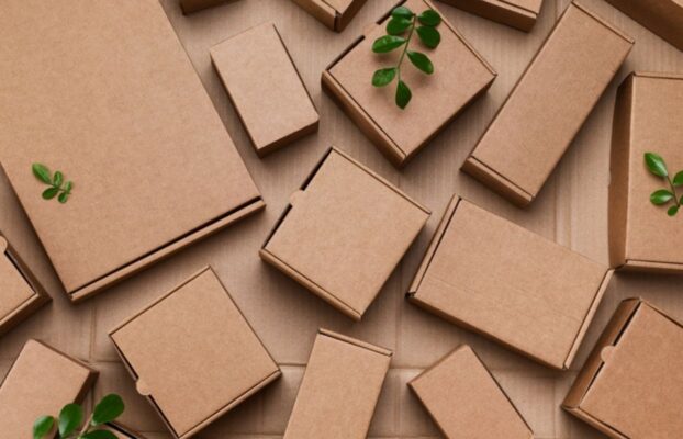 Why Successful Businesses are Shifting to Sustainable Packaging