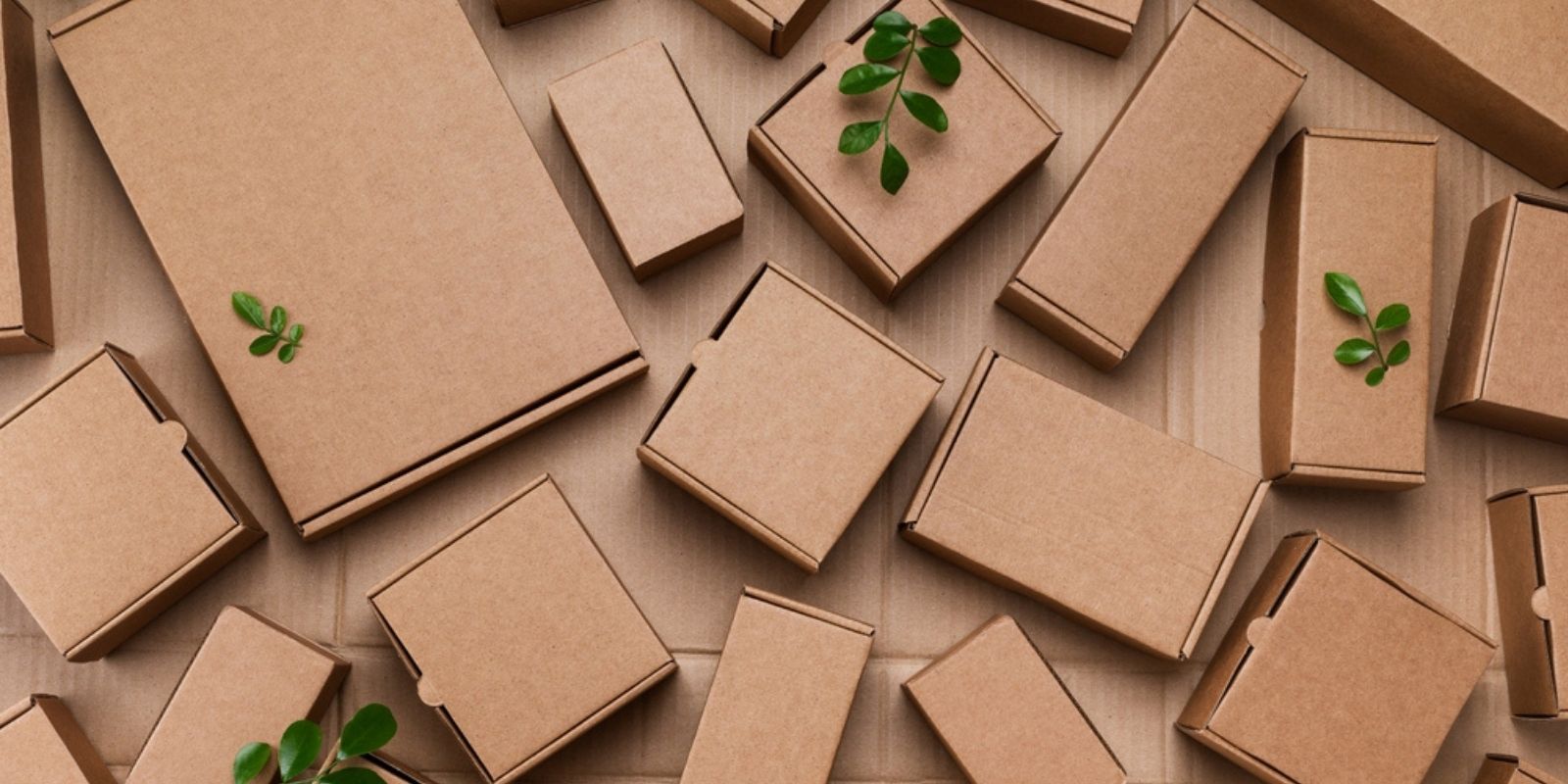 Why Successful Businesses are Shifting to Sustainable Packaging